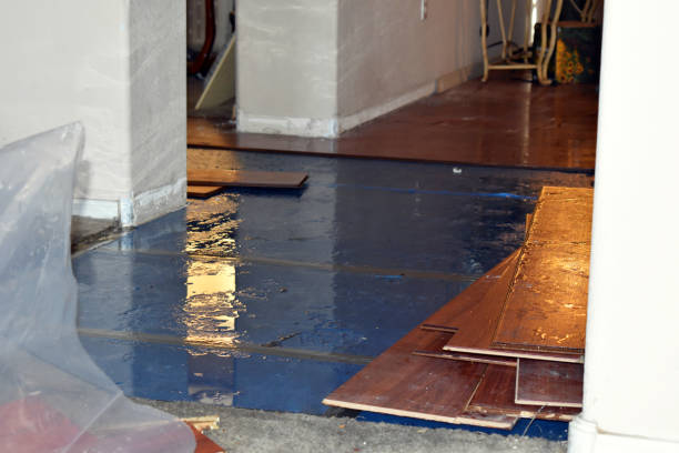 Professional Water Damage Restoration technician working in Arab, AL
